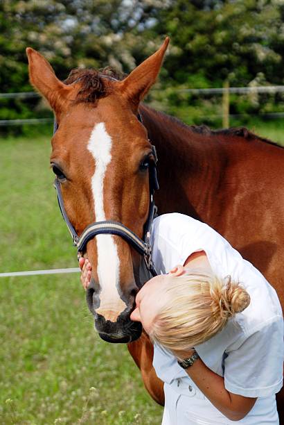 istock Horse kiss 144209190