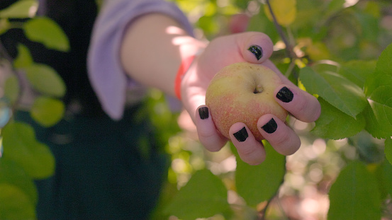 Christina with Apple - Apple Picking - Apple Orchard