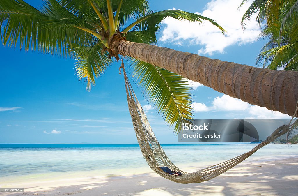 book and glasses view of nice straw hammock on the tropic beach Hammock Stock Photo