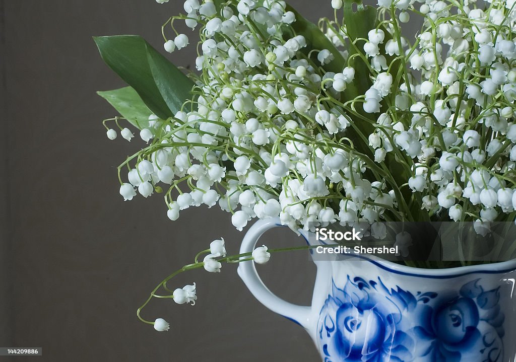 Muguete primavera flores en un colorido cup - Foto de stock de Aire libre libre de derechos