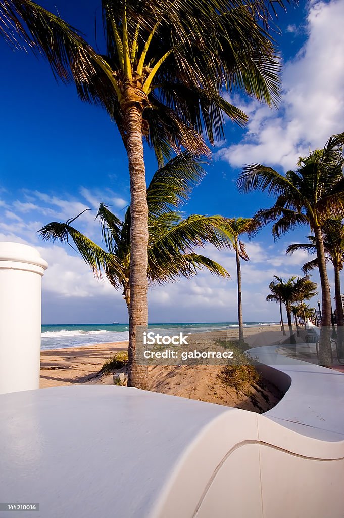 Abstrato branco na praia - Royalty-free Fort Lauderdale Foto de stock