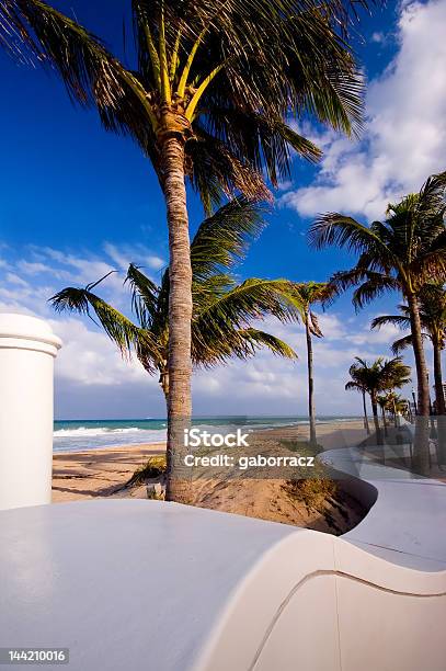 Abstrato Branco Na Praia - Fotografias de stock e mais imagens de Fort Lauderdale - Fort Lauderdale, Praia, Abstrato