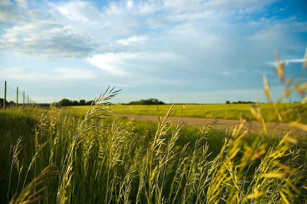 estrada secundária - nebraska imagens e fotografias de stock