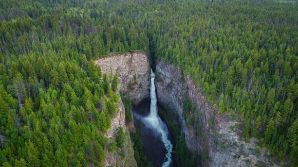 istock Aerial view of a waterfalls surrounded by trees 1442101820