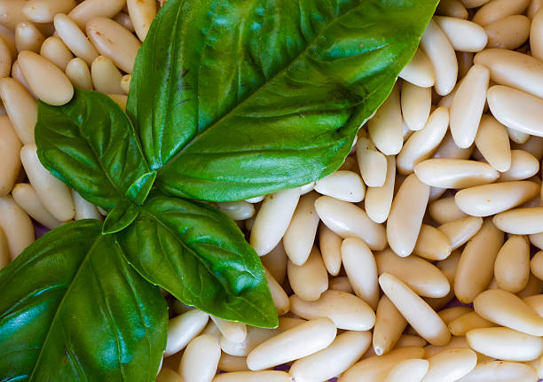 Basil & Pine Nuts stock photo