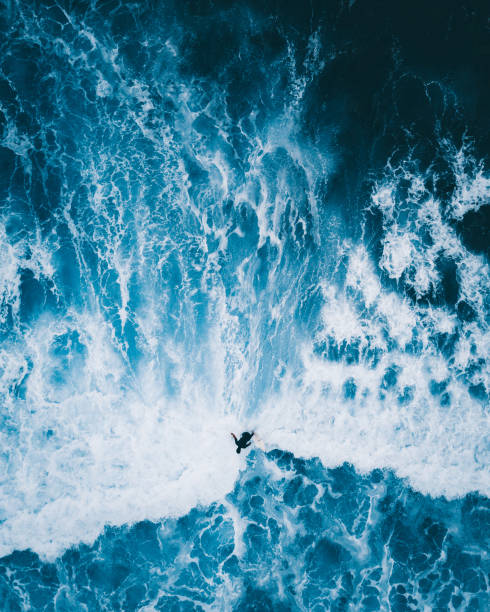 istock Vertical shot of a surfer in wavy se 1442102175