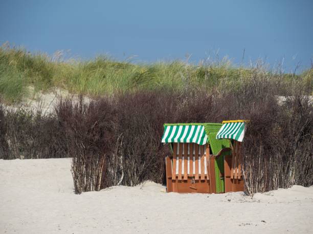 istock Roofed wicker beach chair between the marram grass at the sandy beach, in the daylight 1442102545