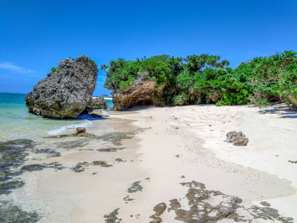 istock Relaxing view of a shore on a beautiful summer day under a clear blue sky 1442103402