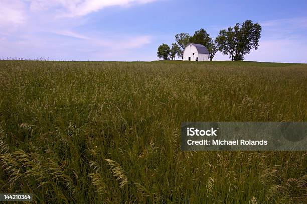 Photo libre de droit de Paysage Rural banque d'images et plus d'images libres de droit de Iowa - Iowa, Plaine - Zone herbeuse, Agriculture