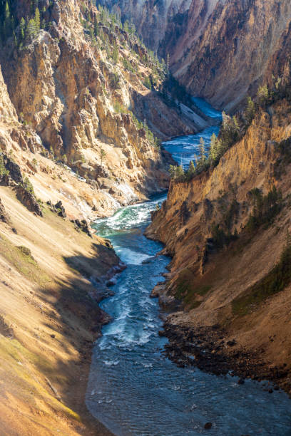 米国イエローストーンのグランドキャニオンの川。 - eroded water grand canyon of yellowstone river river ストックフォトと画像