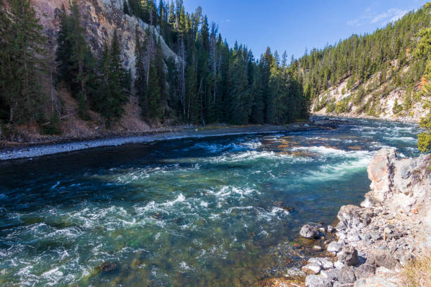 rivière au grand canyon de yellowstone.usa. - eroded water grand canyon of yellowstone river river photos et images de collection