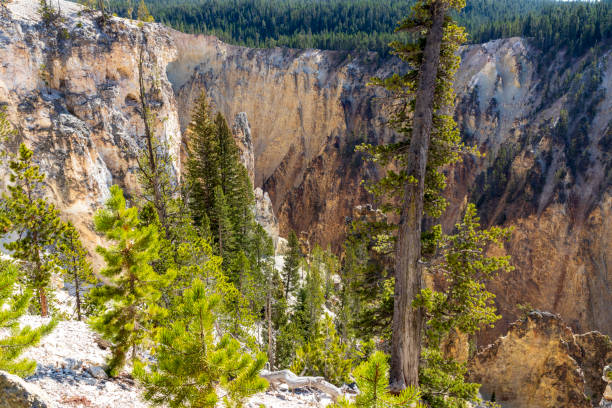 イエローストーンのグランドキャニオンの眺め。 - eroded water grand canyon of yellowstone river river ストックフォトと画像