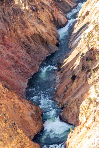 rivière au grand canyon de yellowstone.usa. - eroded water grand canyon of yellowstone river river photos et images de collection