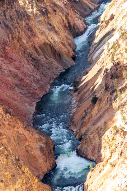米国イエローストーンのグランドキャニオンの川。 - eroded water grand canyon of yellowstone river river ストックフォトと画像