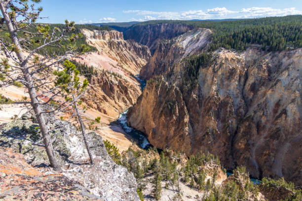 イエローストーンのグランドキャニオンの眺め。 - eroded water grand canyon of yellowstone river river ストックフォトと画像