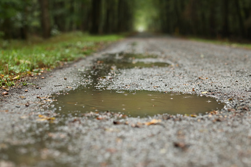 A soft focus of a small puddle of rainwater on a road through a forest park