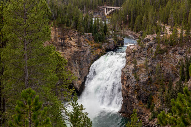 米国イエローストーンのグランドキャニオンの滝。 - eroded water grand canyon of yellowstone river river ストックフォトと画像