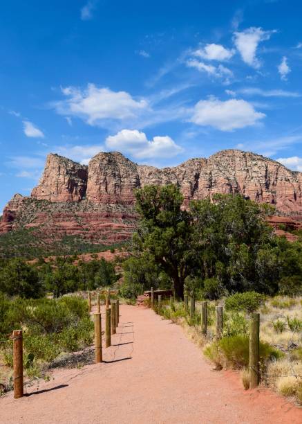 istock Vertical shot of a pathway leading to the canyon 1442106013