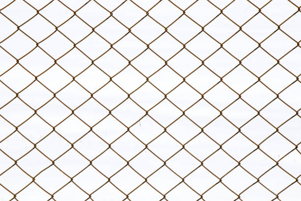 istock Metal grid fence on a white background 1442106164