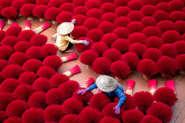 istock Drying incense stick in vietnam 1442106176