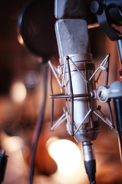 istock Selective focus shot of a professional condenser studio microphone 1442106860