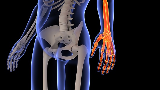A 3D rendering of human body x-ray with the left hand highlight