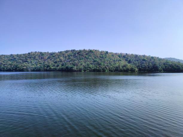 istock Beautiful view of a lake surrounded by trees under a clear blue sky. 1442107183