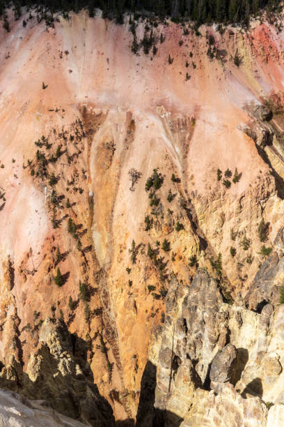 イエローストーンのグランドキャニオンの眺め。 - eroded water grand canyon of yellowstone river river ストックフォト��と画像