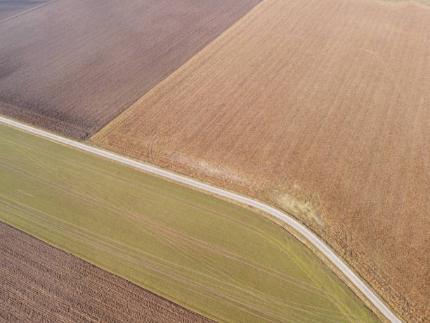 istock Aerial shot of an e single lane road through farm fields 1442107514