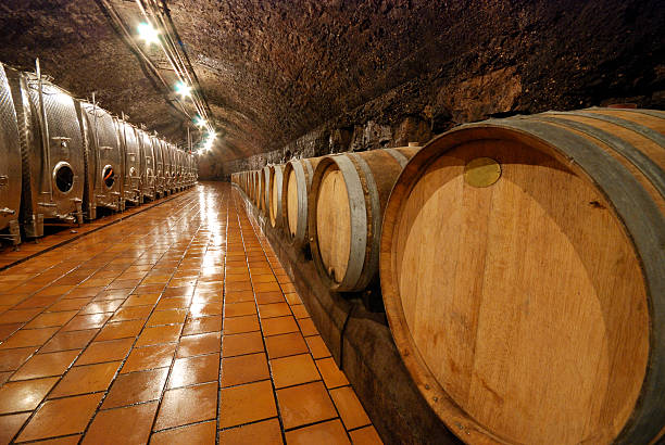 Vineyard Underground wine cellar at vineyard luxembourg paris stock pictures, royalty-free photos & images