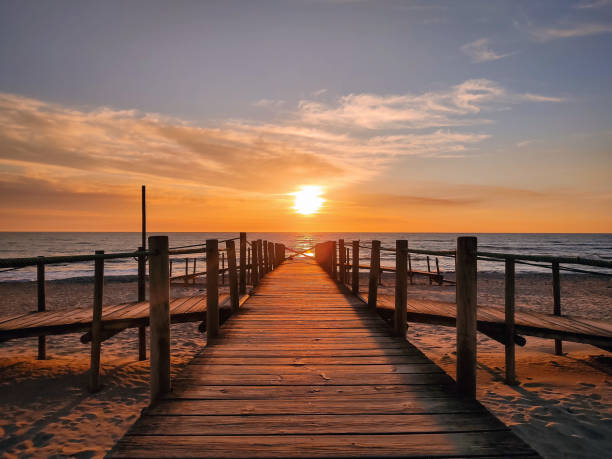 istock Wooden pier on a beach during a beautiful orange sunset 1442107816