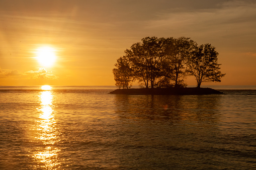 A beautiful shot of tree silhouettes across the ocean and the sunset in La Digue Island, Seychelles