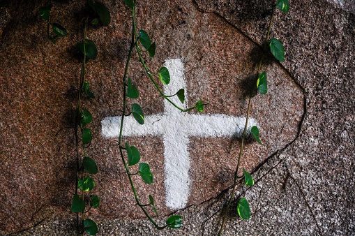 A closeup of a white cross painted on a concrete wall with some leafy vines on it