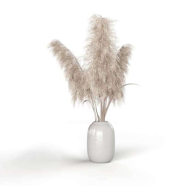 istock 3d model of a vase with decorative pampas grass isolated on a vertical white background. 1442109010