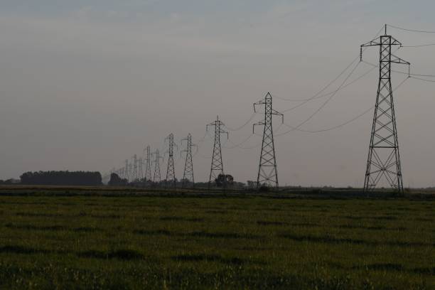 istock Electric power lines in the field 1442109729