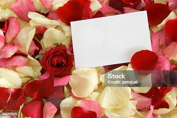 Rose I Notecard - zdjęcia stockowe i więcej obrazów Bez ludzi - Bez ludzi, Czerwony, Fotografika