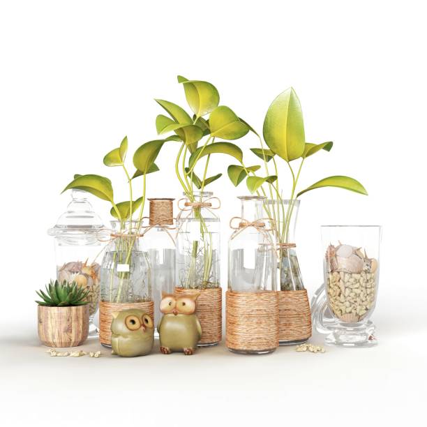 The realistic 3d glass vases with plants isolated on a vertical white background.