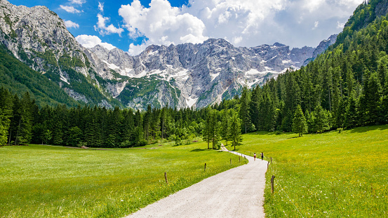 Carpathian Mountains Europe landscape in summer in August