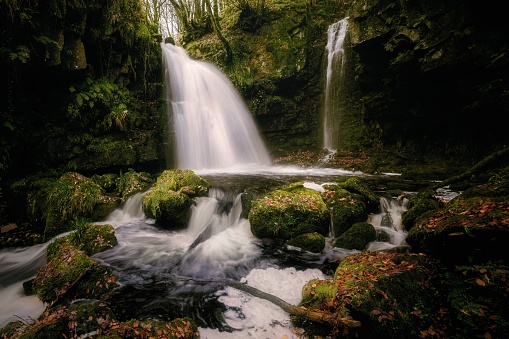 A beautiful view of a waterfall in the forest