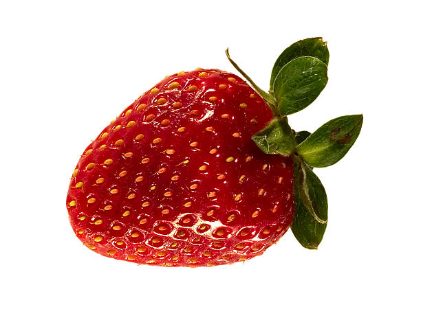 Strawberry Seria 2 – zdjęcie