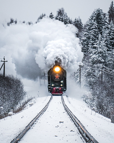 A vertical shot of a train emitting smoke in the forest in the winter