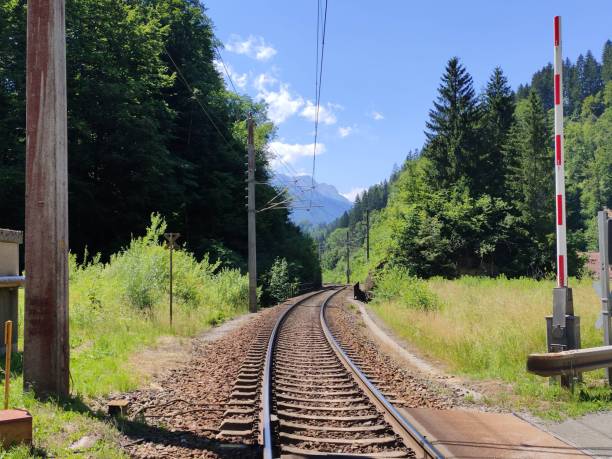 istock Old rusty railroad surrounded by beautiful evergreen trees against a blue sky 1442114035