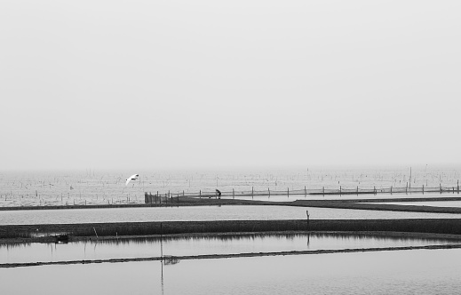 Reflection on the water surface of a fishnet, in black and white, on a foggy day, and a man fishing