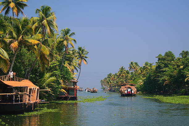 istock Beautiful Kerala with boats and rivers 144211556