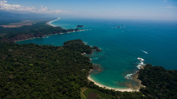istock Manuel Antonio, Costa Ri 1442115938