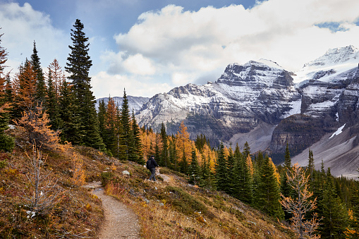 A man hiking a mountain trail surrounded by trees with a view of snowcapped mountains in Banff National Park, Alberta, Canada
