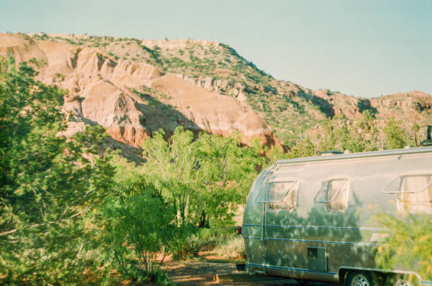 istock Retro vintage RV parked in a dense forest during a holiday trip 1442117506