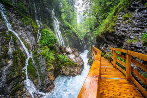 wimmbachklamm dopo forti piogge durante l'estate - spring waterfall landscape mountain foto e immagini stock