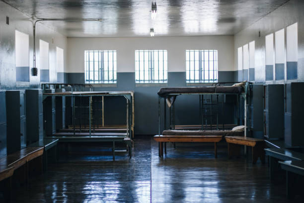 istock Perfectly clean prison cell metal bunk beds, sitting benches, and wall lockers 1442117701