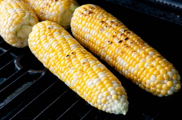 istock Closeup of corn on the cobs roasting on a grill 1442118687